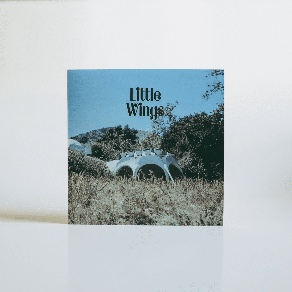 "Wonderue" by Little Wings